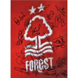 Forest multi Notts Forest Signed 16 x 12 inch football photo. Good Condition. All autographs come