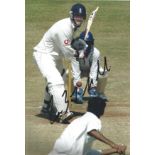 Cricket Muttiah Muralitharan signed 12x8 colour photo. Deshabandu Muttiah Muralitharan ( born 17