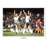 Gerry Armstrong and Sammy McIlroy Northern Ireland Signed 16 x 12 inch football photo. Good