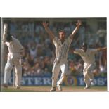 PHIL TUFNELL signed England Cricket 8x12 Photo. All autographs come with a Certificate of