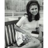 Ayshea Bough, 8x10 photo signed by 1960's pop star and actress Ayshea Bough. All autographs come