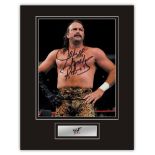 Stunning Display! WWF/WWE Wrestling Jake The Snake Roberts hand signed professionally mounted