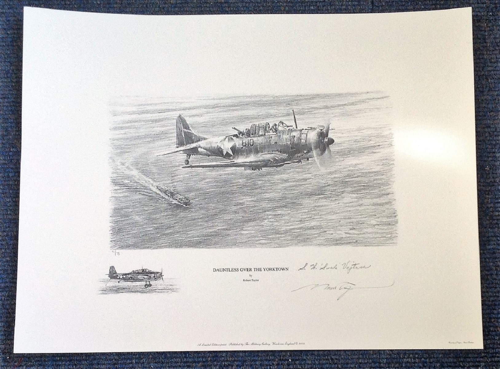 Rare Robert Taylor Hell Cat Fury Portfolio Publisher Proof. This is the rarer Portfolio Publisher - Image 2 of 3