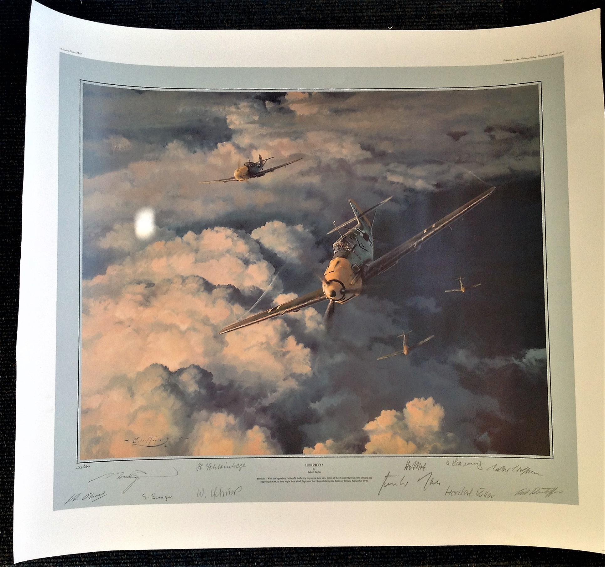 Robert Taylor 27x30 Horrido 35 600 Luftwaffe Aces Edition print with 10 Luftwaffe fighter Ace