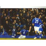 Darron Gibson Everton Signed 12 x 8 inch football photo. All autographs come with a Certificate of