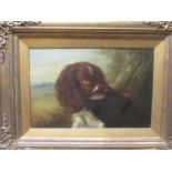 Clement John Hemming - Bob, a springer spaniel, oil on canvas