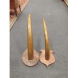 Two South-East Asian ox horns, mounted on period wood shields, circa 1920