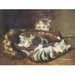 C. Arman, three kittens in a basket, oil on board, signed, 19 x 24cm; Abdi (20th century) Two