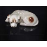 Japanese recumbent model dog