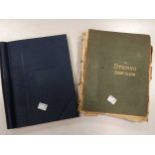 Two stamp albums, with some 19th century continental and world interest, hinge mounted