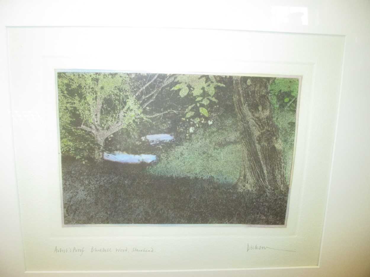Dickson (British, 20th century), Bluebell Wood, Stourhead, Rousham and Satyr Wood Rousham, artist' - Image 5 of 5