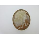 A shell cameo brooch depicting the head of a classical goddess, possibly one of the Furies,