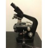 Binocular microscope by Wild, Switzerland,