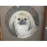 William H Weatherhead RI Pekinese dog portrait 'Tong of Studleigh (Yorkshire)' signed with initials,