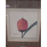 After Aldemir Martins pair of framed botanical prints 20 x 20cm