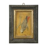 A pair of painted studies of parrots, 19th century,