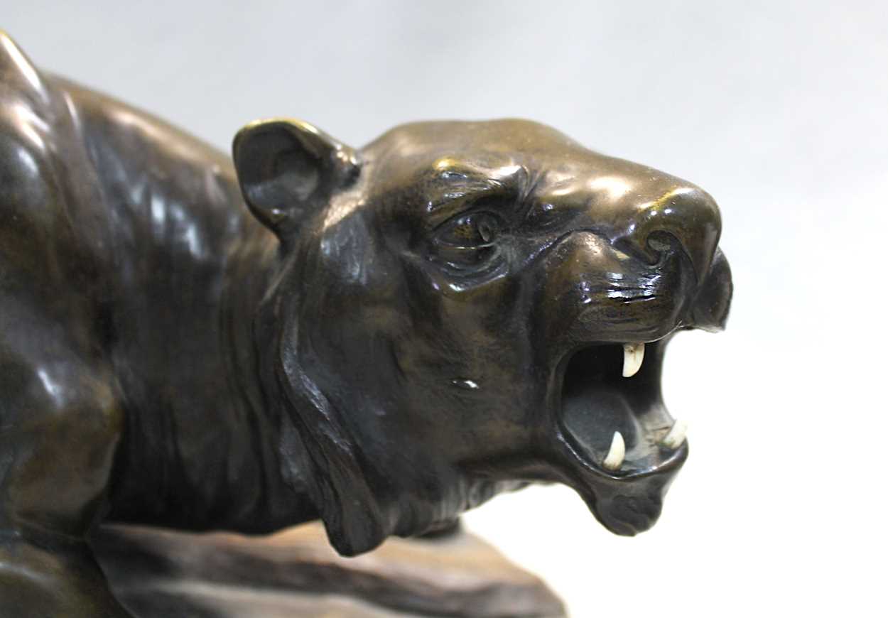 A Japanese bronze model of a roaring tiger, - Image 4 of 6