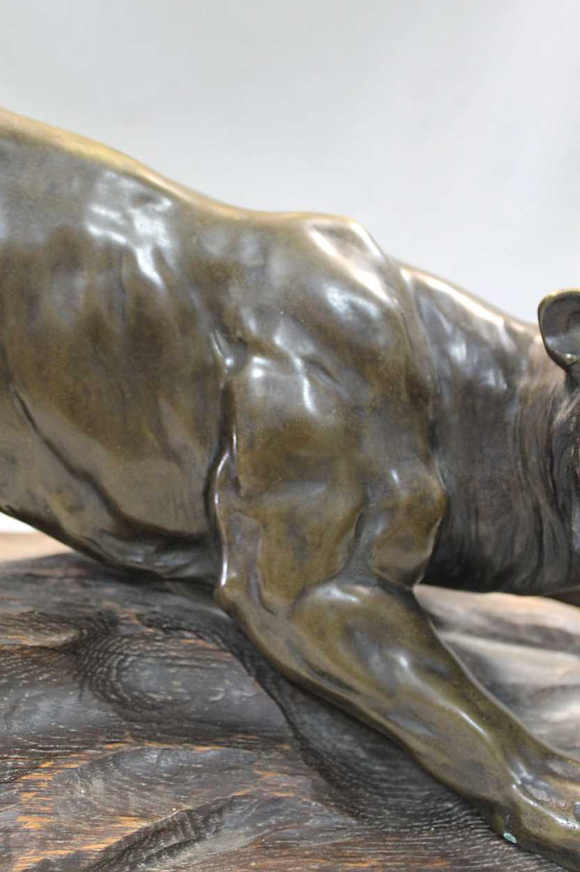 A Japanese bronze model of a roaring tiger, - Image 3 of 6