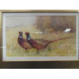Charles Whymper (1853-1941) Two cock pheasants in a field near a copse, signed, watercolour and