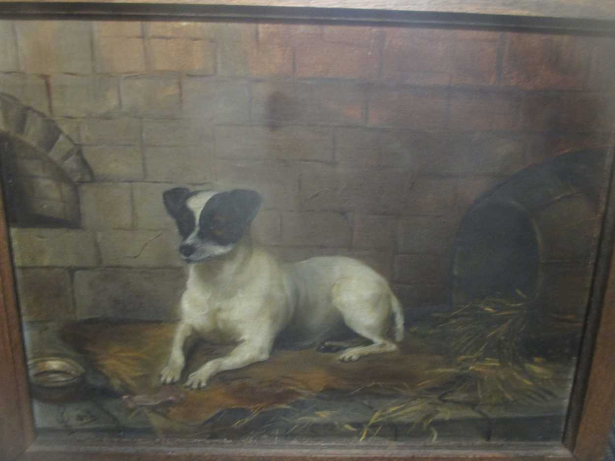 Late 19 Century School, portrait of a Jack Russell terrier 30 x 40cm