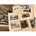 Dogs, a folder of mixed prints