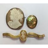 A trio of shell cameo brooches,