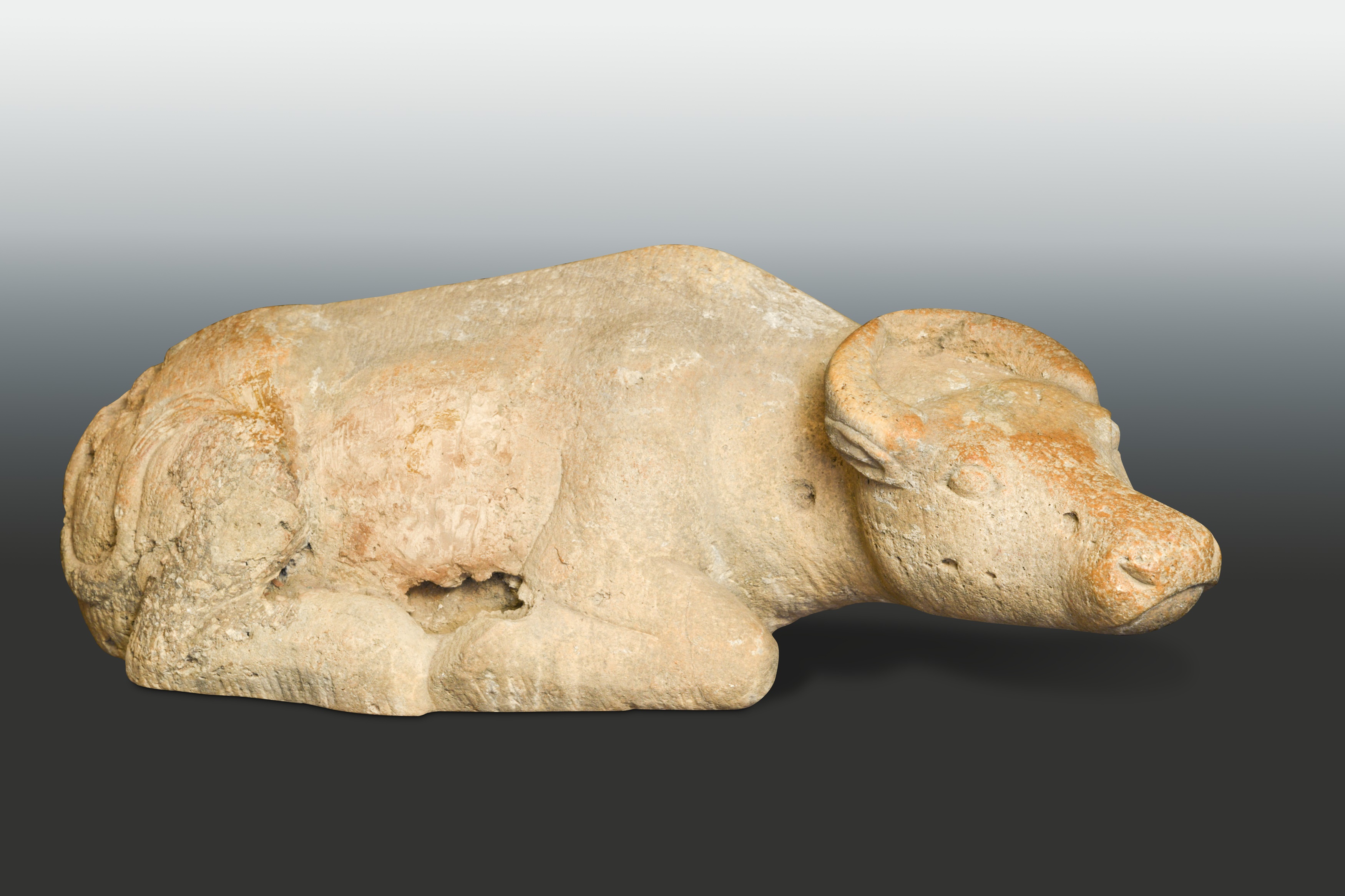 A cream stone recumbent water buffalo, perhaps Tang Dynasty or earlier,