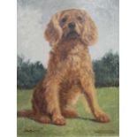 M Stanger Pritchard (exh 1905-1918): Jason - seated portrait of a spaniel dog, signed, titled,