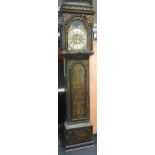 Thomas Haley Walsham, an eight day chinoiserie decorated long case clock, the moon faced dial with
