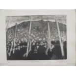 Hilary Hanley, Vineyard, Umbria, Etching 2/20, 27 x 32cm