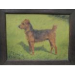 George Paice: "Jimmy" - standing portrait of a terrier dog on grass, signed, titled and dated (19)