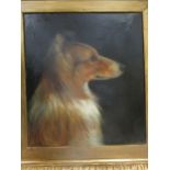 An oil painting late 19th c portrait of a collie dog, 45 x 39cm