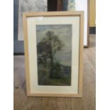 J. C. Cooke, Study of trees, oil on panel, 21 x 12cm