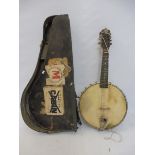 A cased mandolin.