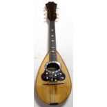 Bowl backed mandolin with bone tuners and mother-of-pearl inlays around the sound hole and on the