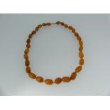 A string of thirty graduated butterscotch / orange oval amber Beads, yellow metal bolt ring, largest