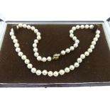 A cultured pearl Necklace, formed of fifty seven uniform culture pearls with a yellow gold open ball