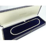 A knotted row of uniform Cultured Pearls, with a 9ct yellow gold bead snap, 17½in (44.5cm) long,