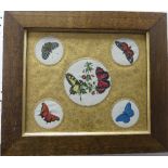 The von Mohl Collection: A framed watercolour study of butterflies, together with a quantity of