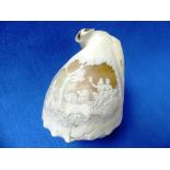 An antique carved Conch Shell, carved with classical design,