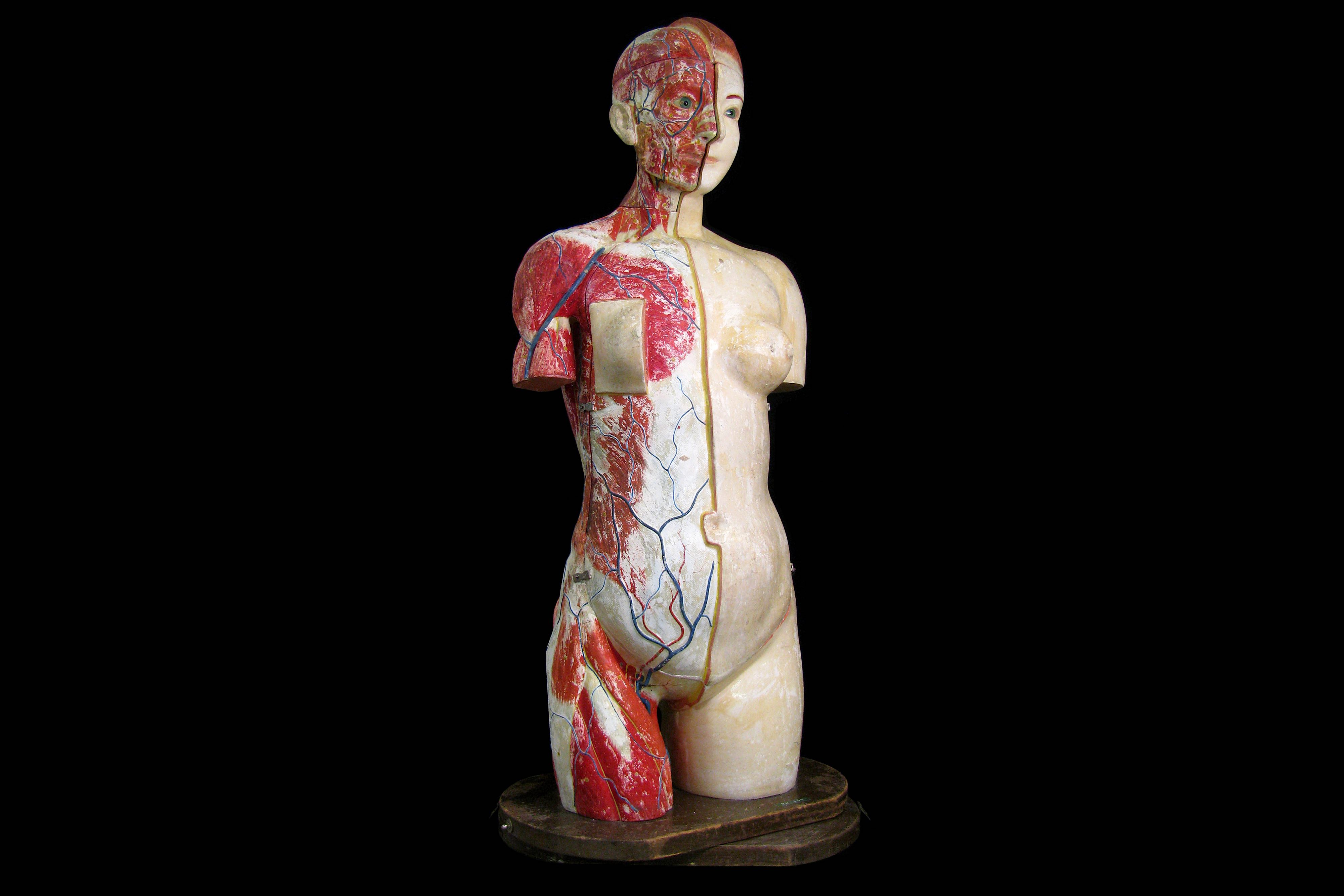 A FINE 1930'S JAPANESE LIFE-SIZE ANATOMICAL MODEL TORSO OF THE FEMALE FIGURE PRODUCED IN 1934 BY THE - Image 3 of 9