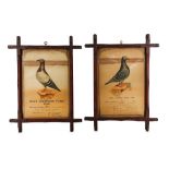 A PAIR OF LATE 19TH CENTURY FRAMED PIGEON AWARDS