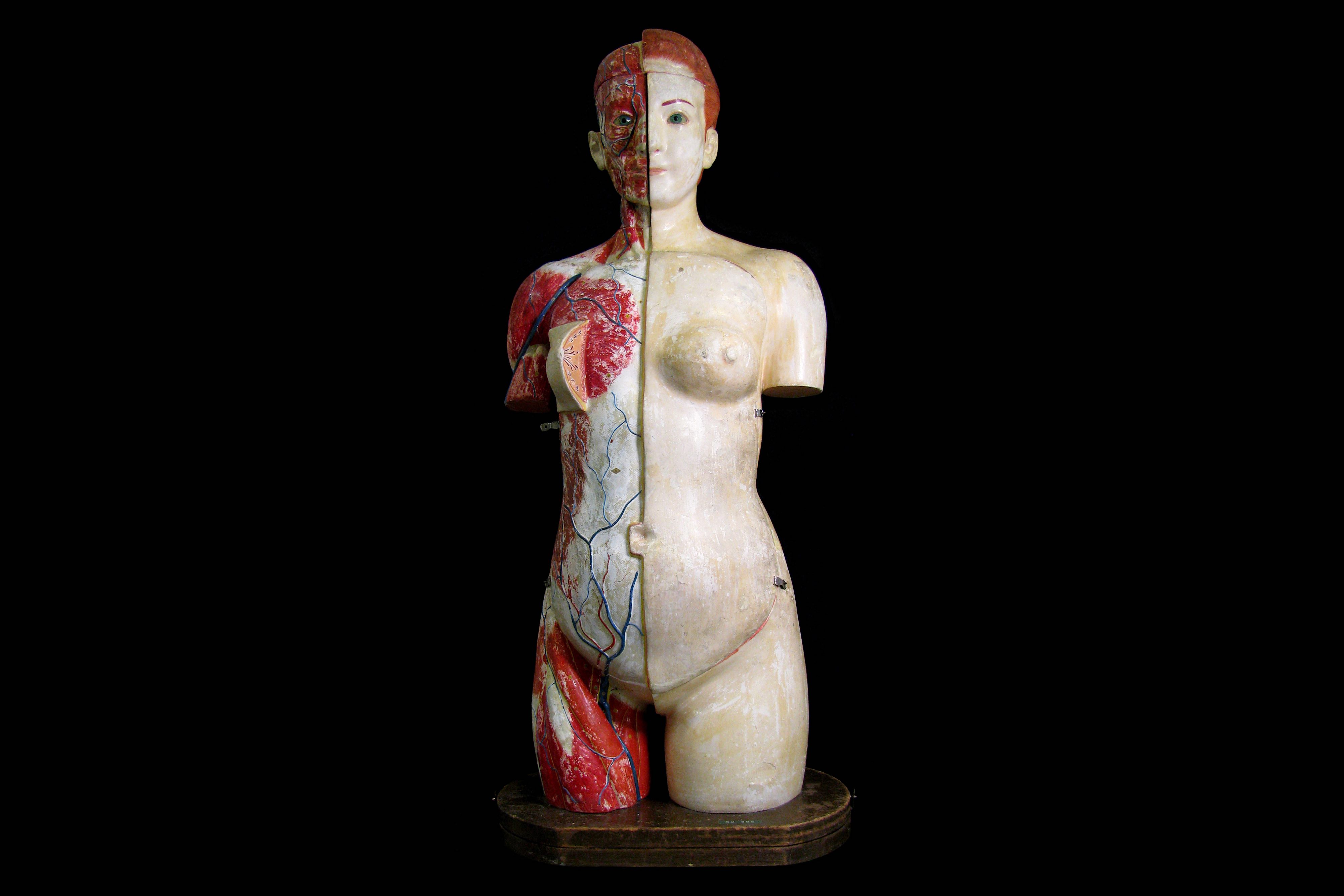 A FINE 1930'S JAPANESE LIFE-SIZE ANATOMICAL MODEL TORSO OF THE FEMALE FIGURE PRODUCED IN 1934 BY THE - Image 2 of 9