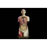 A FINE 1930'S JAPANESE LIFE-SIZE ANATOMICAL MODEL TORSO OF THE FEMALE FIGURE PRODUCED IN 1934 BY THE
