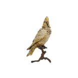 A 20TH CENTURY COLD PAINTED BRONZE MODEL OF A COCKATOO IN THE MANNER OF FRANZ BERGMAN seated on