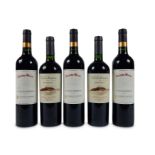 A selection of Chilean Wines
