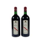 D'Arenberg Dead Arm Shiraz 2007 Double Magnums