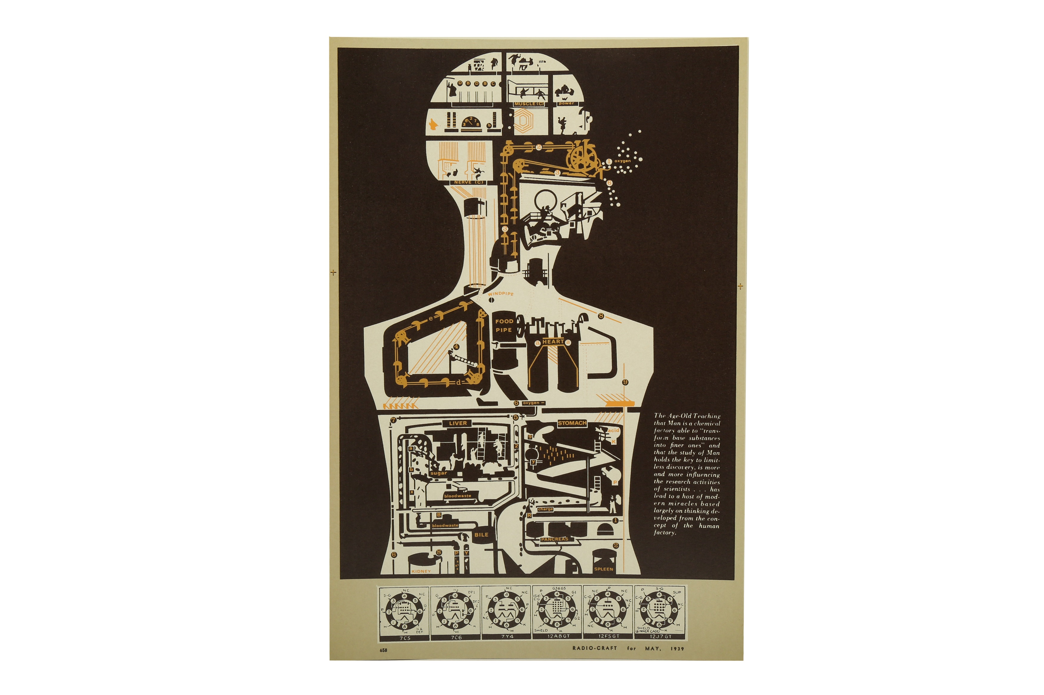 § SIR EDUARDO PAOLOZZI, R.A. (1924-2005) - Image 3 of 12