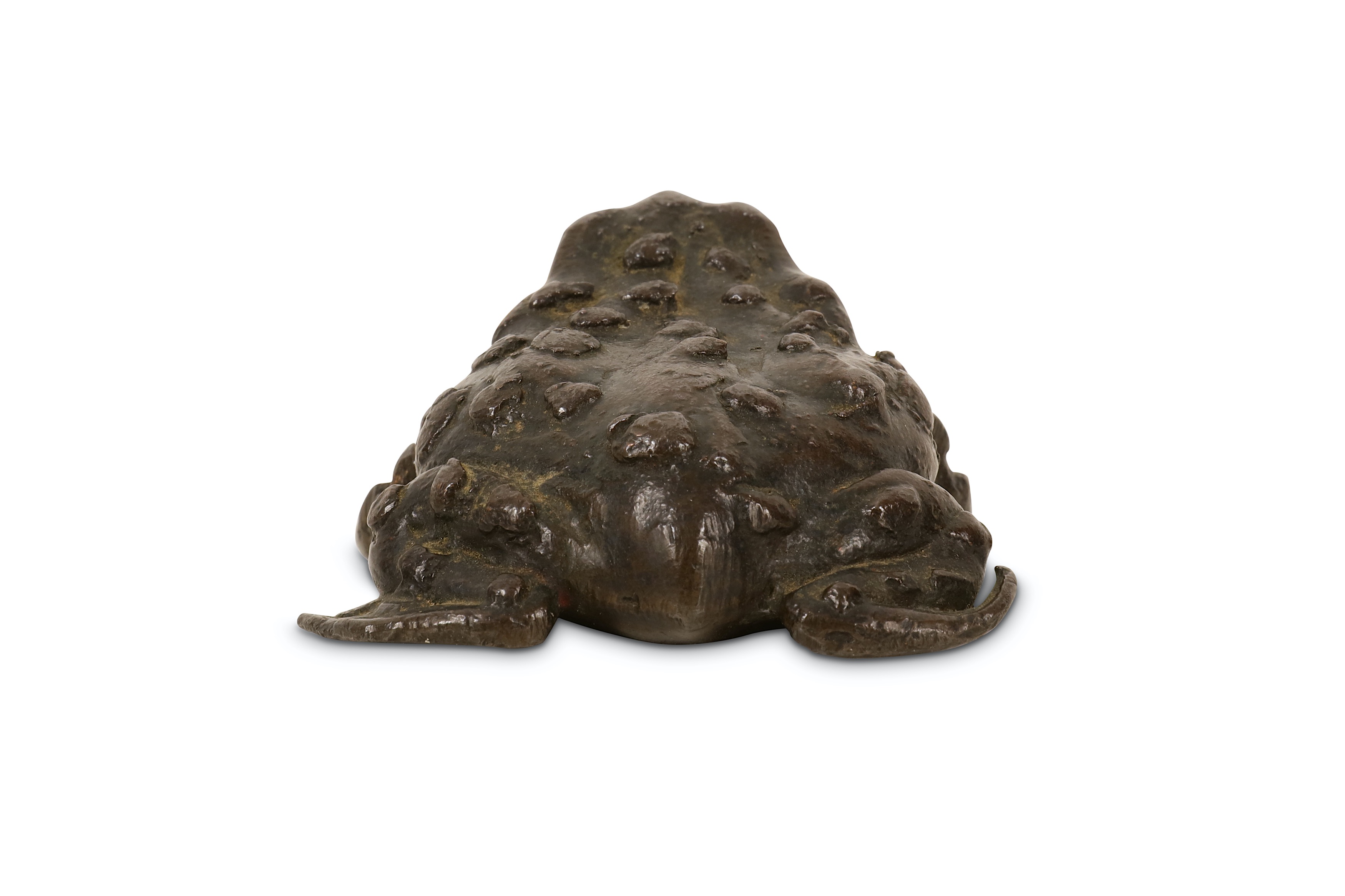 A 16TH CENTURY PADUAN BRONZE MODEL OF A TOAD - Image 5 of 7