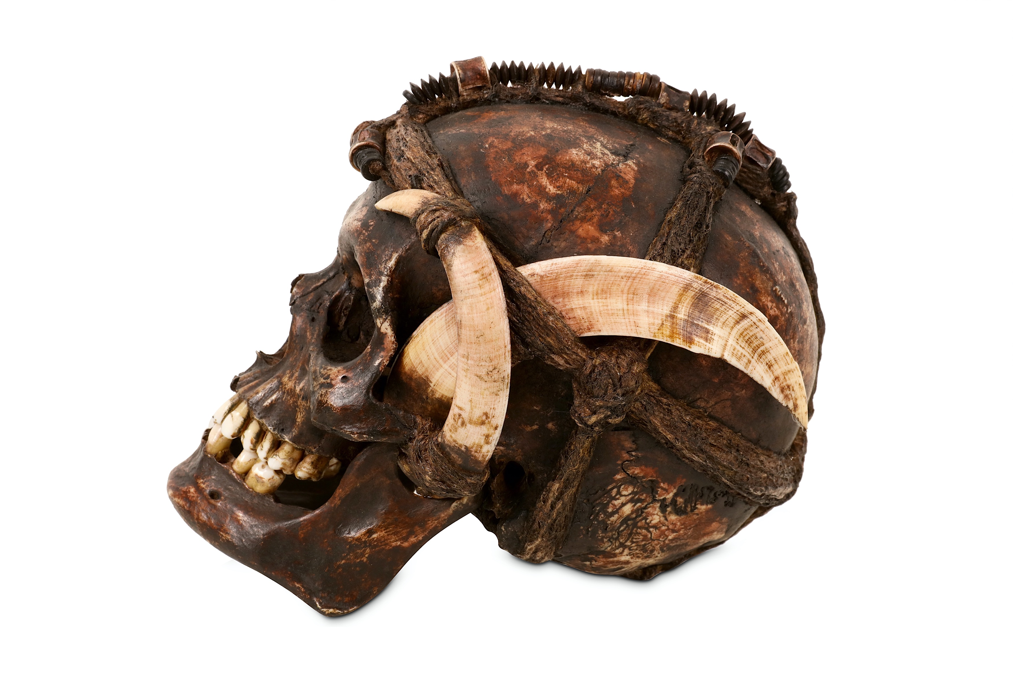 TRIBAL: A DAYAK ANCESTOR HUMAN SKULL DECORATED WITH BOAR TUSKS - Image 3 of 6